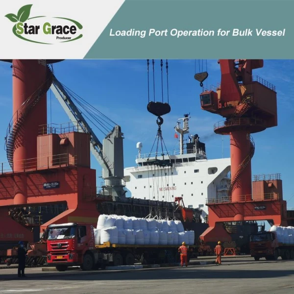 Break bulk2 Break bulk2