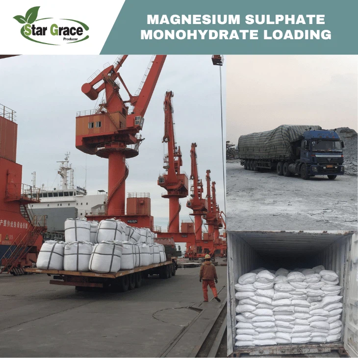 Kieserite Granular MgO 27%