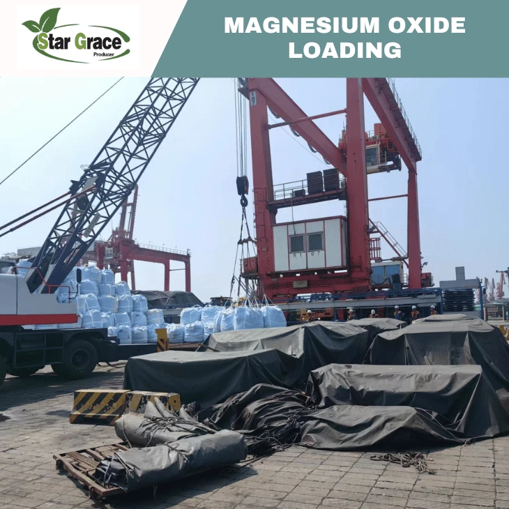 Lightly Calcined Magnesium Oxide Powder