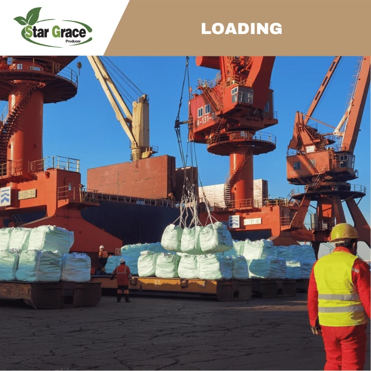 Lysine Sulphate Price