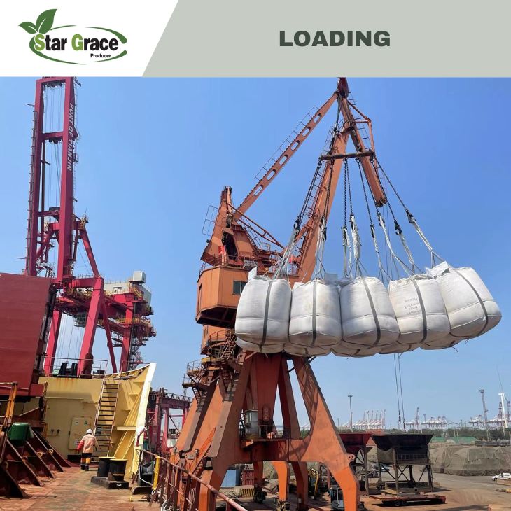 Magnesium Oxide in Feed in Germany