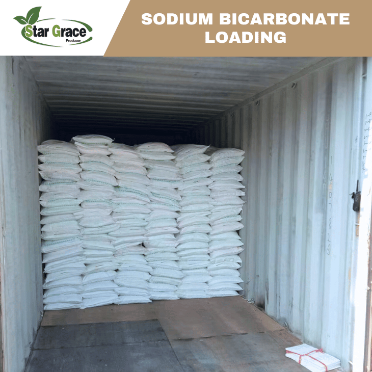 Sodium Bicarbonate And Citric Acid